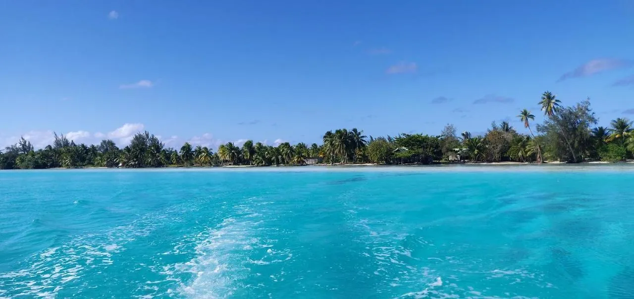 Auberge de jeunesse Alaroots Huahine à Haapu