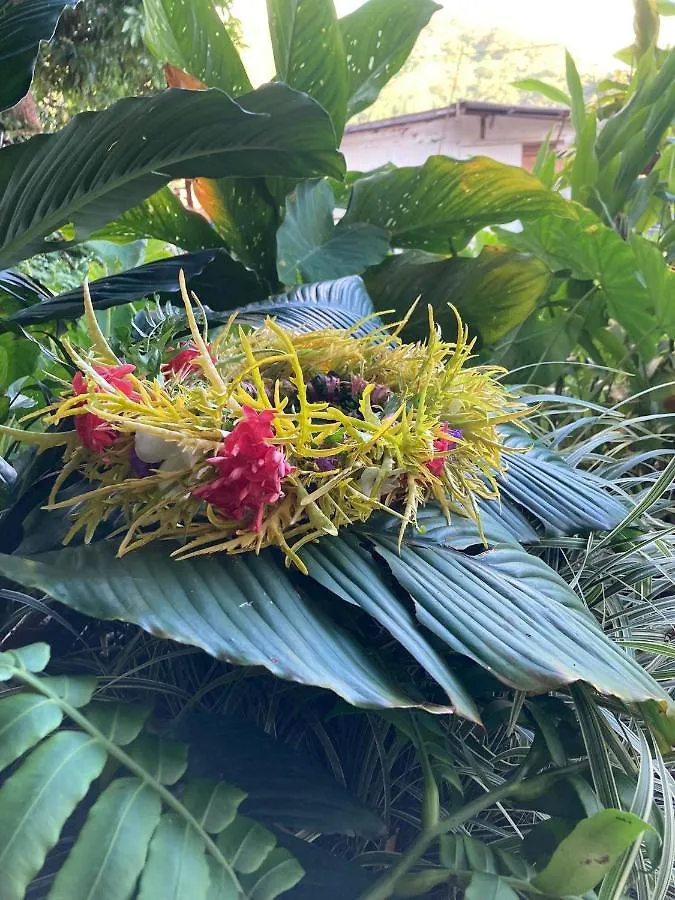 Auberge de jeunesse Alaroots Huahine à Haapu