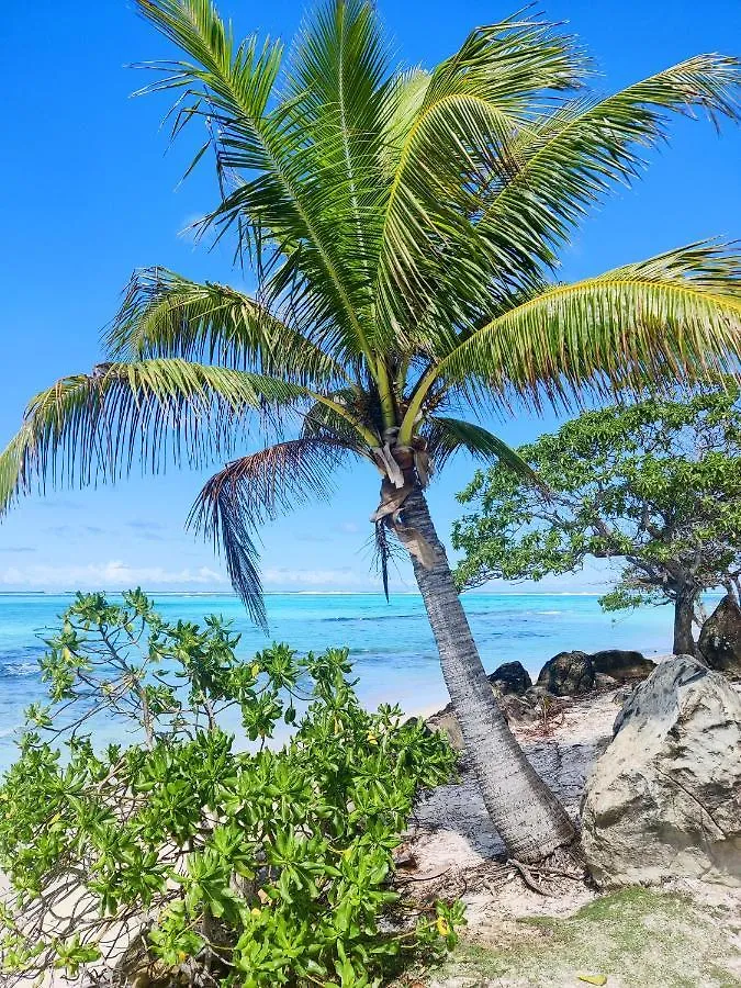 Hostel Alaroots Huahine Haapu Francouzská Polynésie